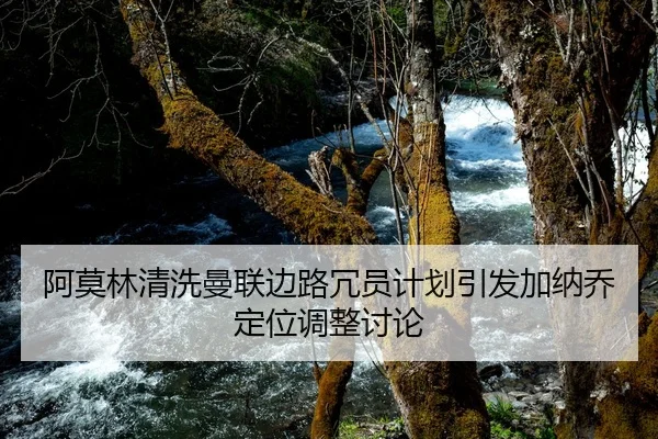 a-mo-lin-qing-xi-man-lian-bian-lu-rong-yuan-ji-hua-yin-fa-jia-na-qiao-ding-wei-tiao-zheng-tao-lun-1-224.jpg