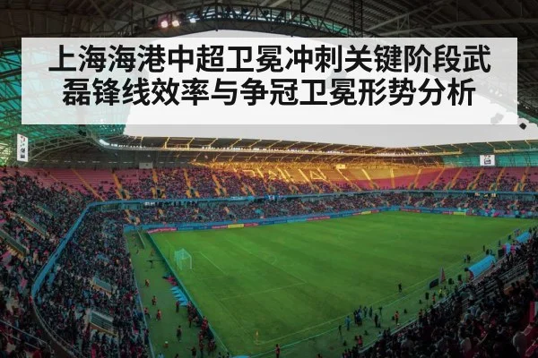上海海港中超卫冕冲刺关键阶段武磊锋线效率与争冠卫冕形势分析